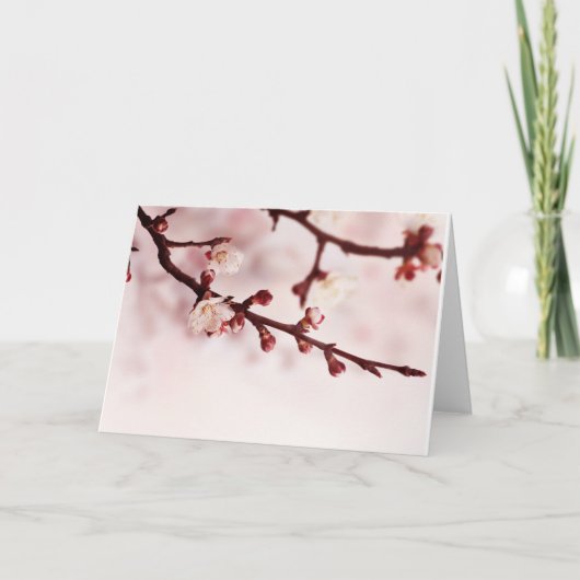 De Bloesem van de kers Kaart (Voorkant)