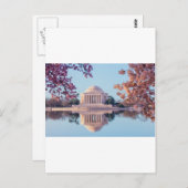 De Bloesems van de kers in Washington DC Briefkaart (Voorkant / Achterkant)