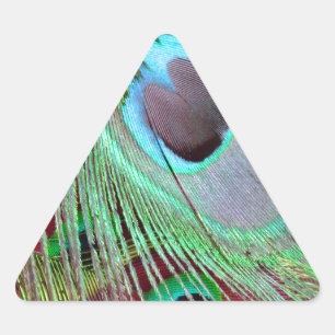 De Blue Eye pauw die de veer laat stromen. Driehoek Sticker