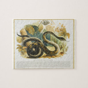 De Boa Constrictor, educatieve illustratie pub. Legpuzzel