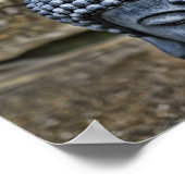 De Boeddha Poster (Hoek)