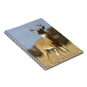 De Bok van Whitetail van de herfst Notitieboek