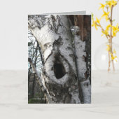 De Bomen van de Berk van de winter Kaart (Gele Bloem)