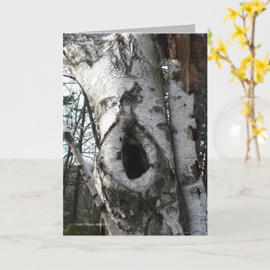 De Bomen van de Berk van de winter Kaart (Gele Bloem)