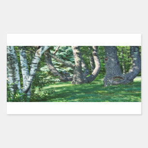 De Bomen van de helling Rechthoekige Sticker