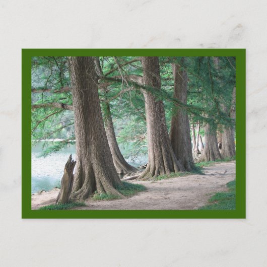 De bomen van gisteren, briefkaart (Voorkant)