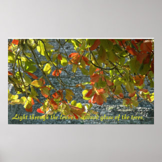 De Bomen van het Glas in lood - Poster met Citaat