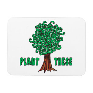 De Bomen van het plant Magneet
