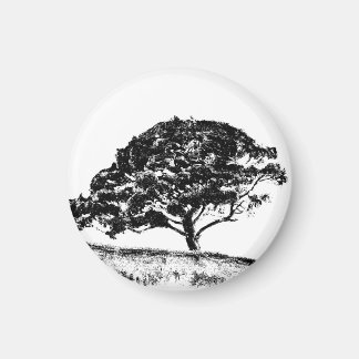 De Bonaventure Pine Magneet