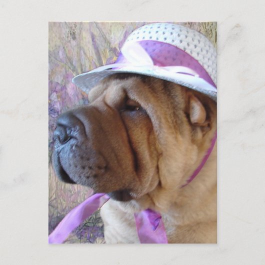 De Bonnet van Pasen Feestdagenkaart (Voorkant)