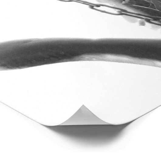 De boogengel-michael poster (Hoek)