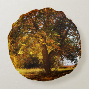 De boom in de herfst rond kussen