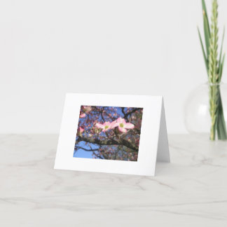 De Boom Notecard van de kornoelje Kaart