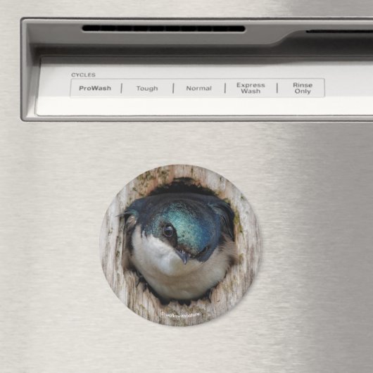 De boom slikt in een Nestbox Magneet (Insitu (Vaatwasser))