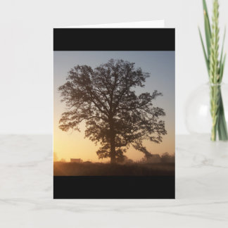 De Boom van Autmn in Dawn Kaart