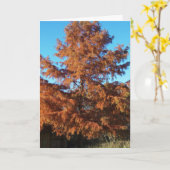 De boom van Brian, een herfstgedicht Kaart (Gele Bloem)