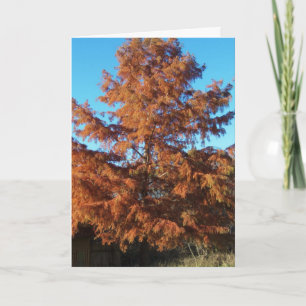 De boom van Brian, een herfstgedicht Kaart