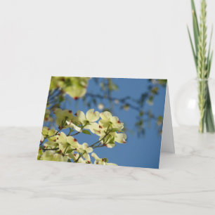 De Boom van de kornoelje bloeit de Blauwe Hemel Kaart