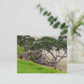 De boom van de verwarring briefkaart (Staand voorkant)