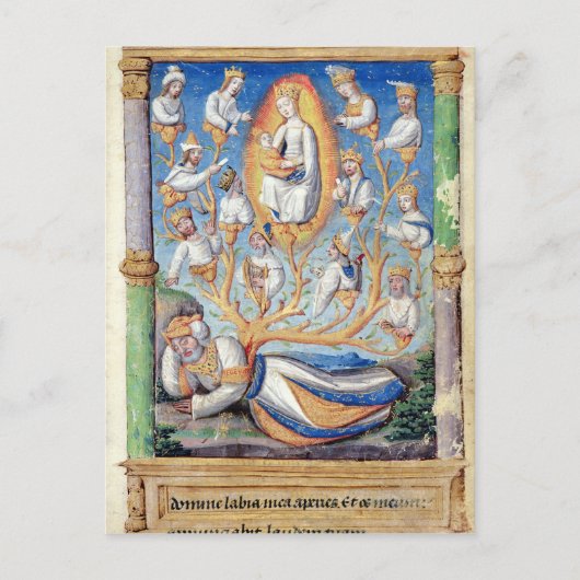 De boom van Jesse Briefkaart (Voorkant)