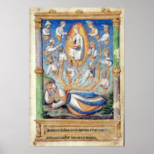 De boom van Jesse Poster