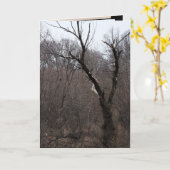 De Boom van Malificent Kaart (Gele Bloem)