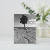 De Boom van Phoenix van het fort Briefkaart (Staand voorkant)