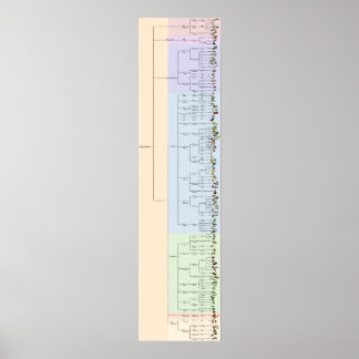 De boom van Yum: Plantae Poster