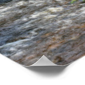 De boomtakken van de pijn over Rapids in Stream Or Poster (Hoek)