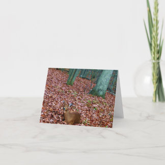 De bos Damhinde van de Kaart van de Nota een Hert