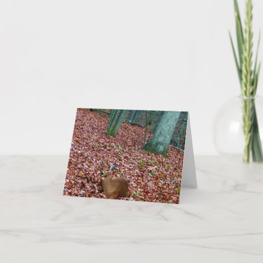 De bos Damhinde van de Kaart van de Nota een Hert (Voorkant)