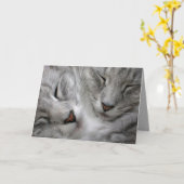 De bos kaart van de kattenverjaardag (Gele Bloem)