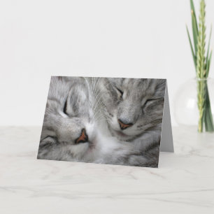 De bos kaart van de kattenverjaardag