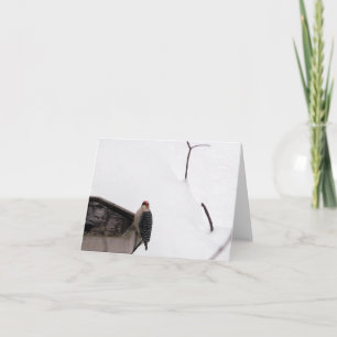 De bos Specht van de Kaart van de Nota