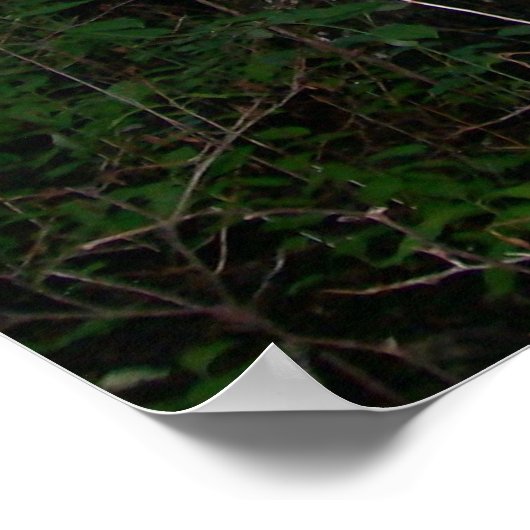 De Bossen Poster (Hoek)