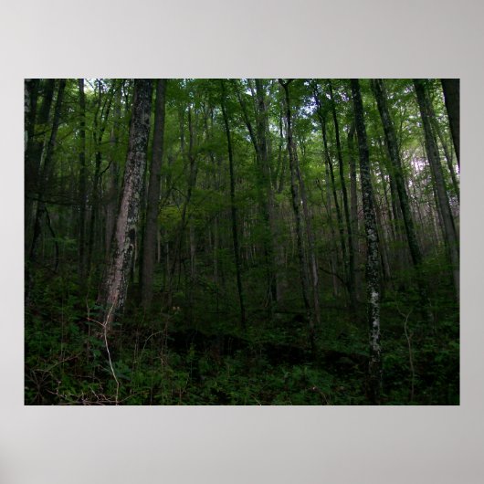 De Bossen Poster (Voorkant)