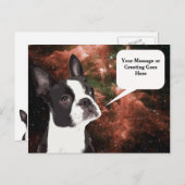 De Boston Terrier in het Space Briefkaart (Voorkant / Achterkant)