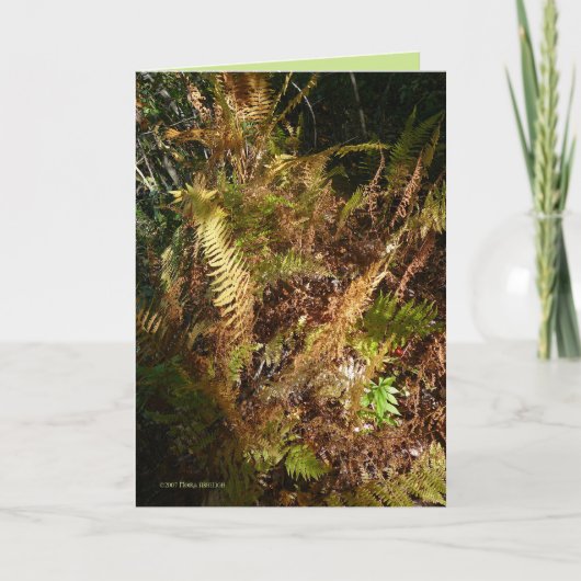 De BosVloer van de herfst Kaart (Voorkant)