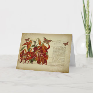 De Botanische Illustratie van de vintage Lelie van Kaart