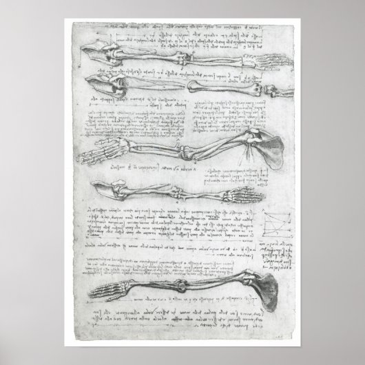 De bovenbouw, Leonardo da Vinci Poster (Voorkant)