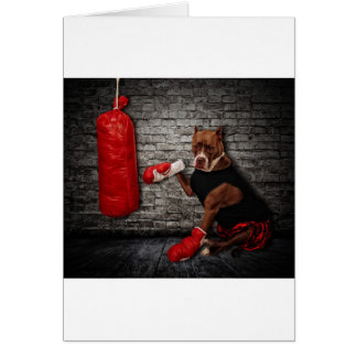 De boxing Pit