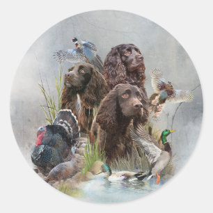 De Boykin Spaniël Ronde Sticker