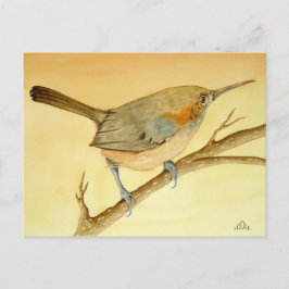 De Braziliaanse Wren op een filiaal Briefkaart
