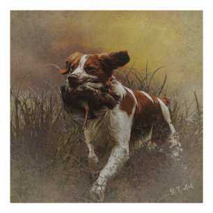 De Bretagne spaniel Ceramic Tile Beverage Coas Foto Afdruk