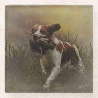 De Bretagne spaniel Ceramic Tile Beverage Coas