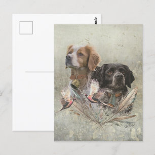 De Bretagne Spaniels, Frans Bretagne, Vogelhond, Briefkaart