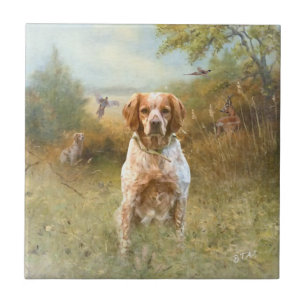 De Bretagne Spaniels, Frans Bretagne, Vogelhond, Tegeltje