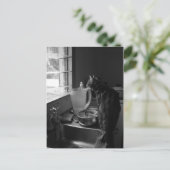 De Briefkaarten van de keukengootsteen (Staand voorkant)