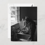 De Briefkaarten van de keukengootsteen (Voorkant / Achterkant)