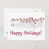 De Briefkaarten van de pelikaan prettige (Voorkant / Achterkant)